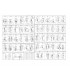 ART.0332 - PUNTALINI/TASTATORI