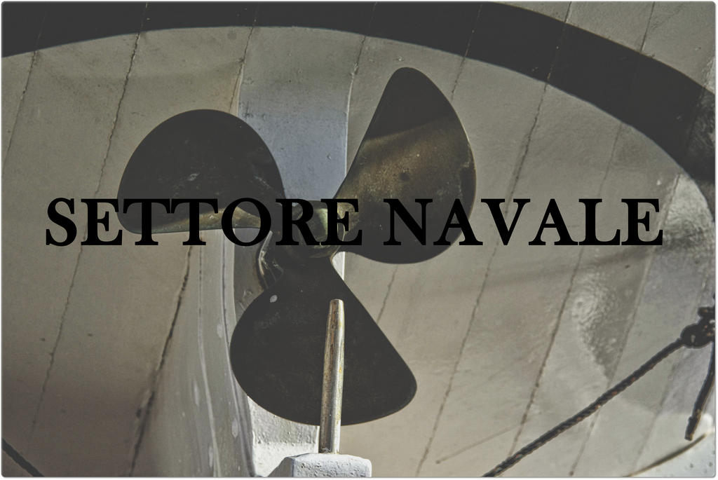 marine-5017885.jpg